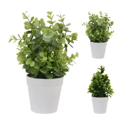 Merkloos Plantje In Pot 9 X 25 Cm Assorti -NL-Huis & Thuis 101 0714 1 2