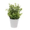 Merkloos Plantje In Pot 9 X 25 Cm Assorti