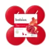 Bolsius True Scents Maxilichten Granaatappel Clearcup
