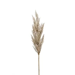 Kunstbloem Pampas Grass 92Cm