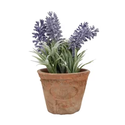 Lavendel In AT Pot
