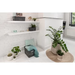 Curver Infinity Deksel 4,5 L Antraciet -NL-Huis & Thuis 101 7186 3 1