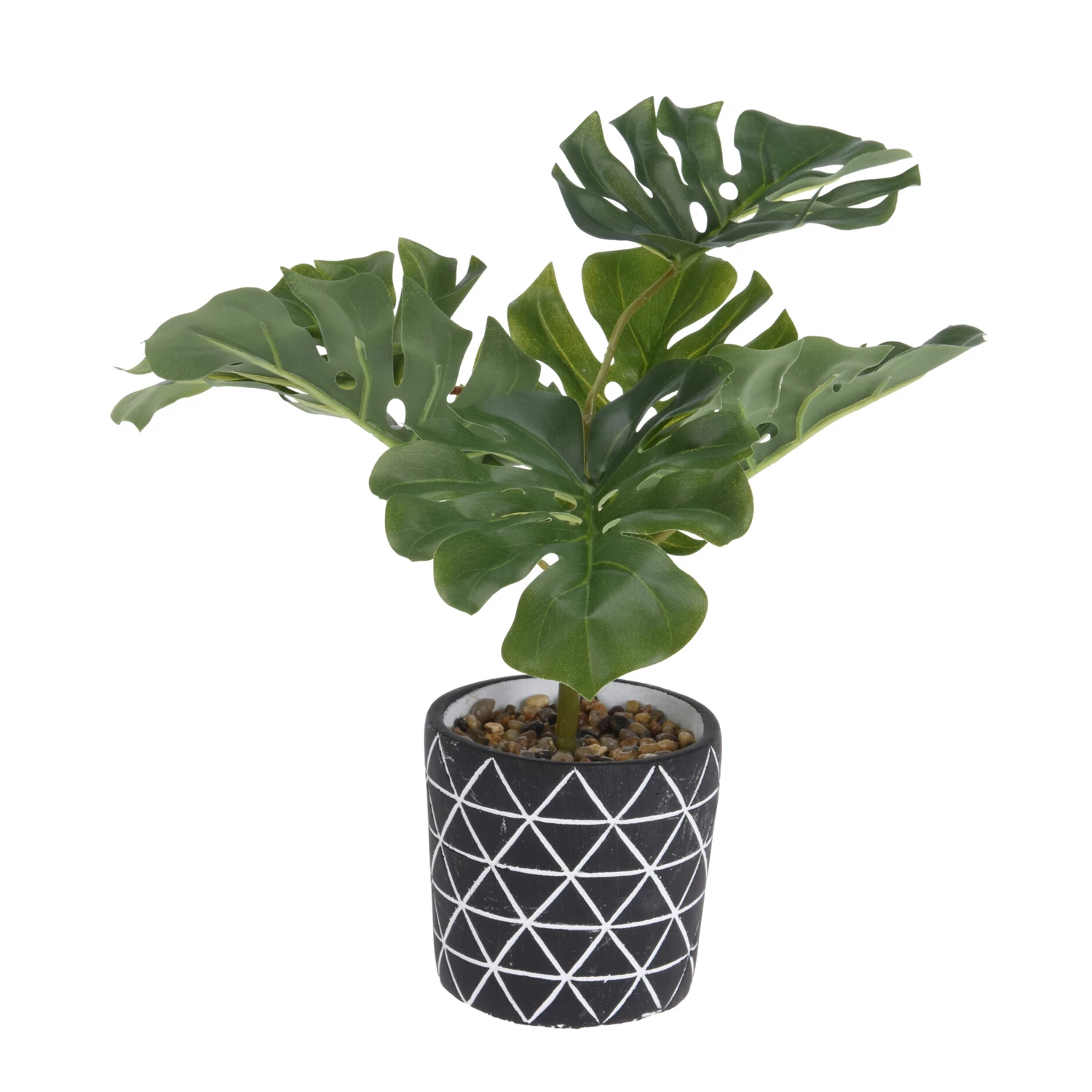Plant 32Cm Hoog In Cement Pot 1 Plant 32Cm Hoog In Cement Pot