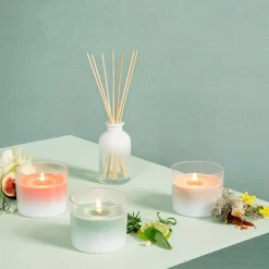 Bolsius True Joy Geurglas Met Kurk Botanicfreshness 66x83 Mm -NL-Huis & Thuis 160 0363 2 1 1