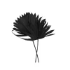 Droogbloemen Palm Sun Zwart 2st 50cm