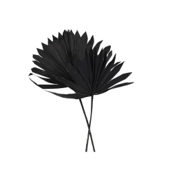Droogbloemen Palm Sun Zwart 2st 50cm