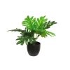 Plant Zijde Philodendron Xanadu Sunshine Groen 28