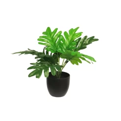 Plant Zijde Philodendron Xanadu Sunshine Groen 28