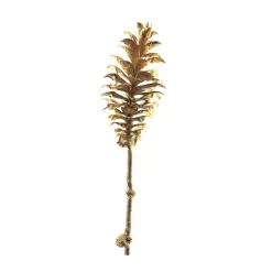 Kunsttak Pine Cone Goud 64cm