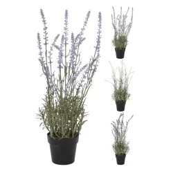Lavendel Plant In Pot 46 Cm