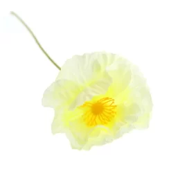 Klaproos Kunstbloem 60 Cm Wit