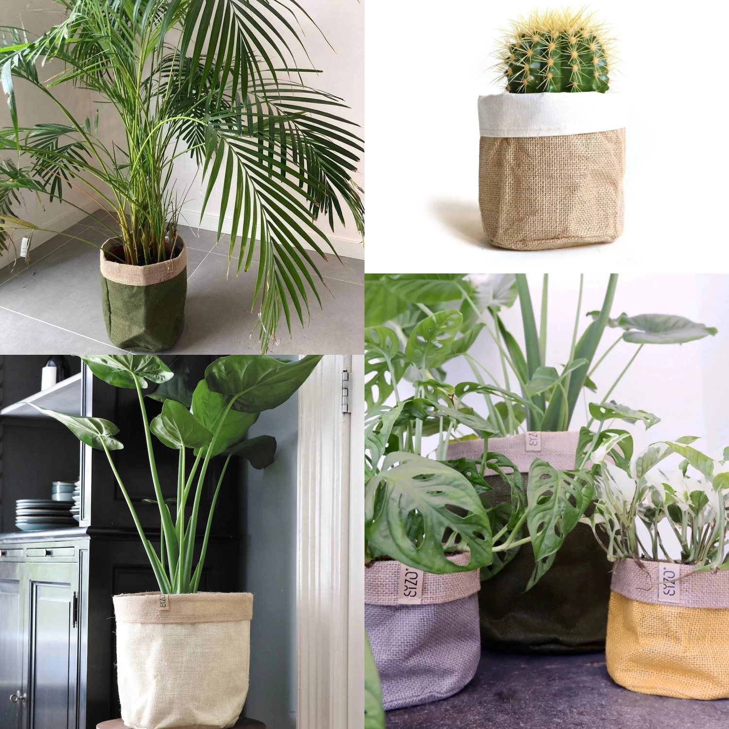 Sizo Juten - Plantenzak - Opbergmand Ø13 Cm Olijf Groen 2 Sizo Juten - Plantenzak - Opbergmand Ø13 Cm Olijf Groen - Afbeelding 2