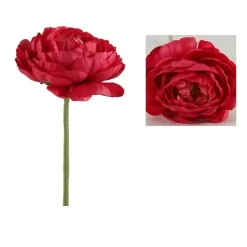 Ranonkel Novella 34 Cm Fuchsia