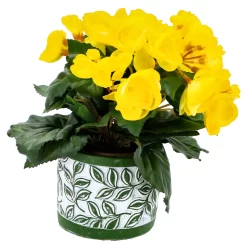 Pot Olea Cylinder Groen 11 Cm -NL-Huis & Thuis 1926ec0c6a39910f3f394ab1505a7998