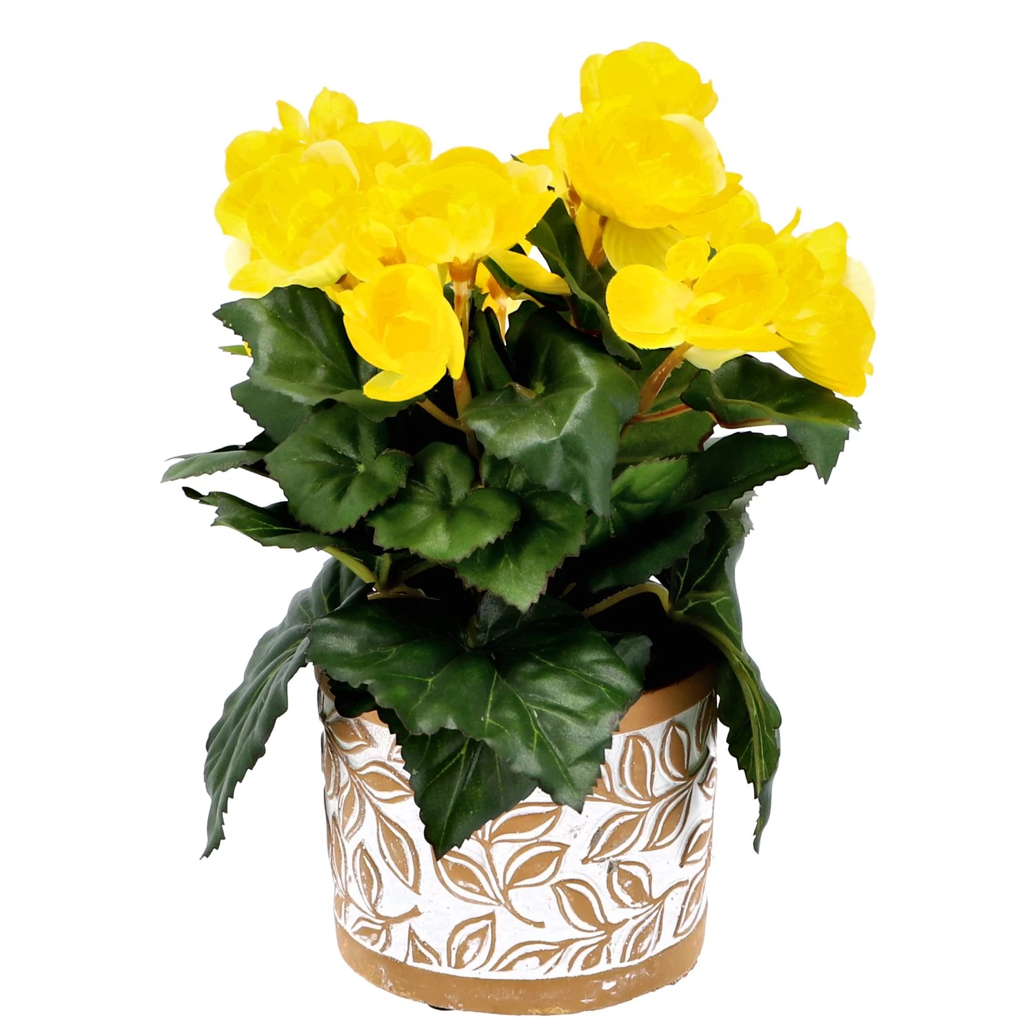 Pot Olea Cylinder Bruin 11 Cm 4 Pot Olea Cylinder Bruin 11 Cm - Afbeelding 4